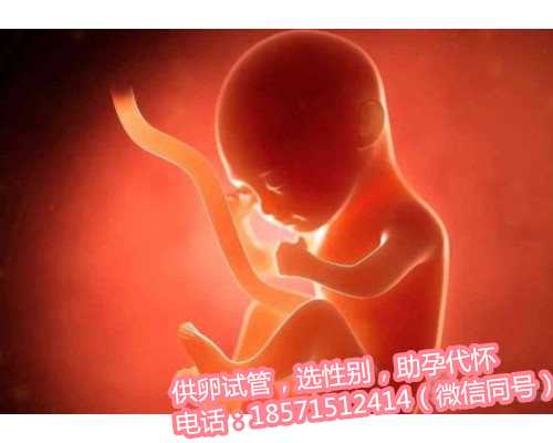 在绥化市妇幼保健院做输卵管造影,天津供卵妹子联系方式路上多磨难